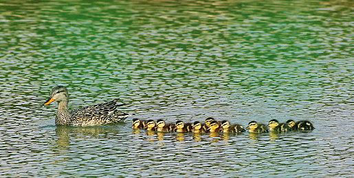 《英灵神殿》最新DLC《灶和家》预告 9月16日上线 